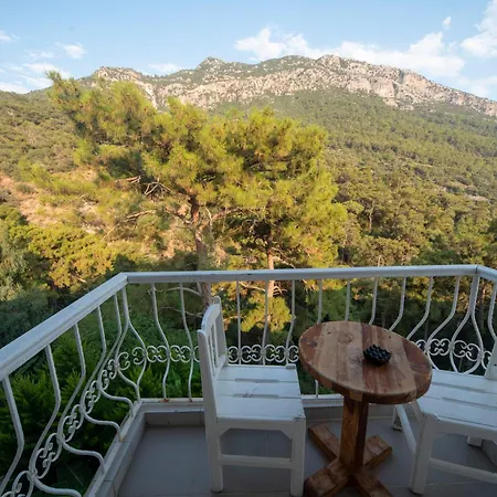 Manzara Non Alcoholic Family 3*