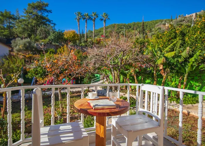 Manzara Non Alcoholic Family オルデニズ