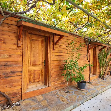 Otel Manzara Non Alcoholic Family Ölüdeniz