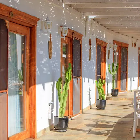 Manzara Non Alcoholic Family 3* Олудениз