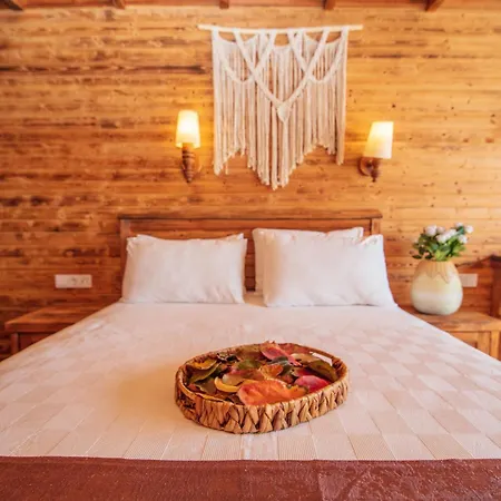 Manzara Non Alcoholic Family Hotel Ölüdeniz