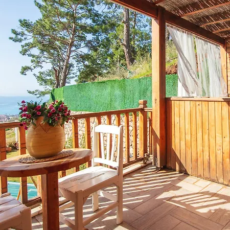 Manzara Non Alcoholic Family