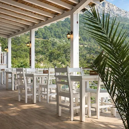 Hotel Manzara Non Alcoholic Family