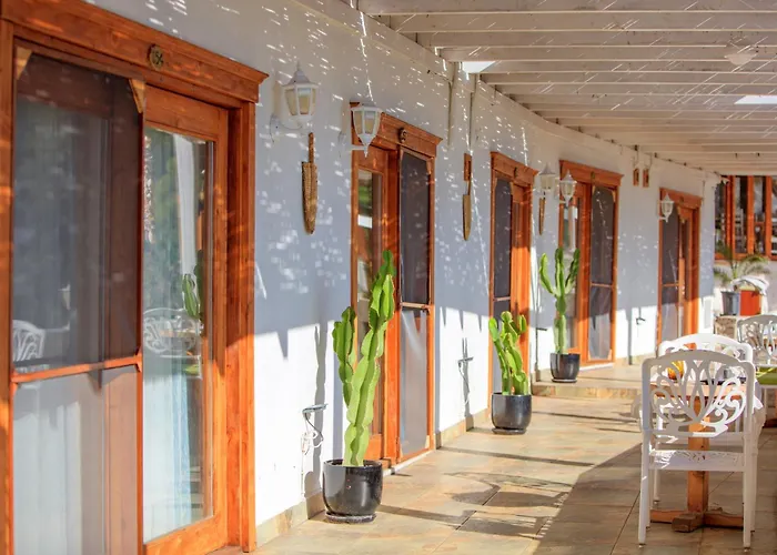 Manzara Non Alcoholic Family 3* Oludeniz