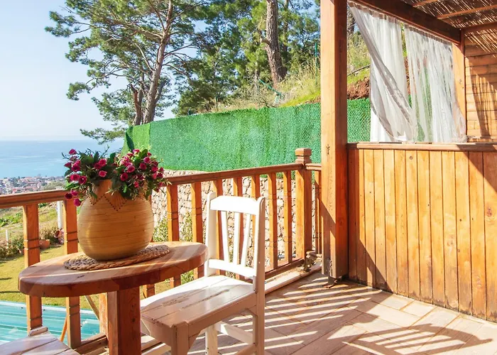 Manzara Non Alcoholic Family