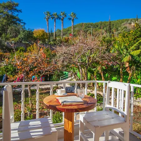 Manzara Non Alcoholic Family Oludeniz