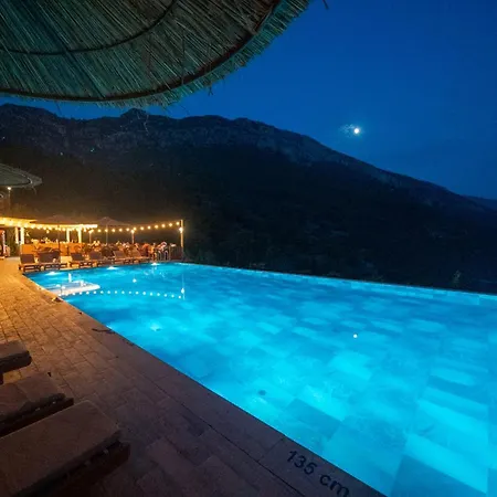 Manzara Non Alcoholic Family